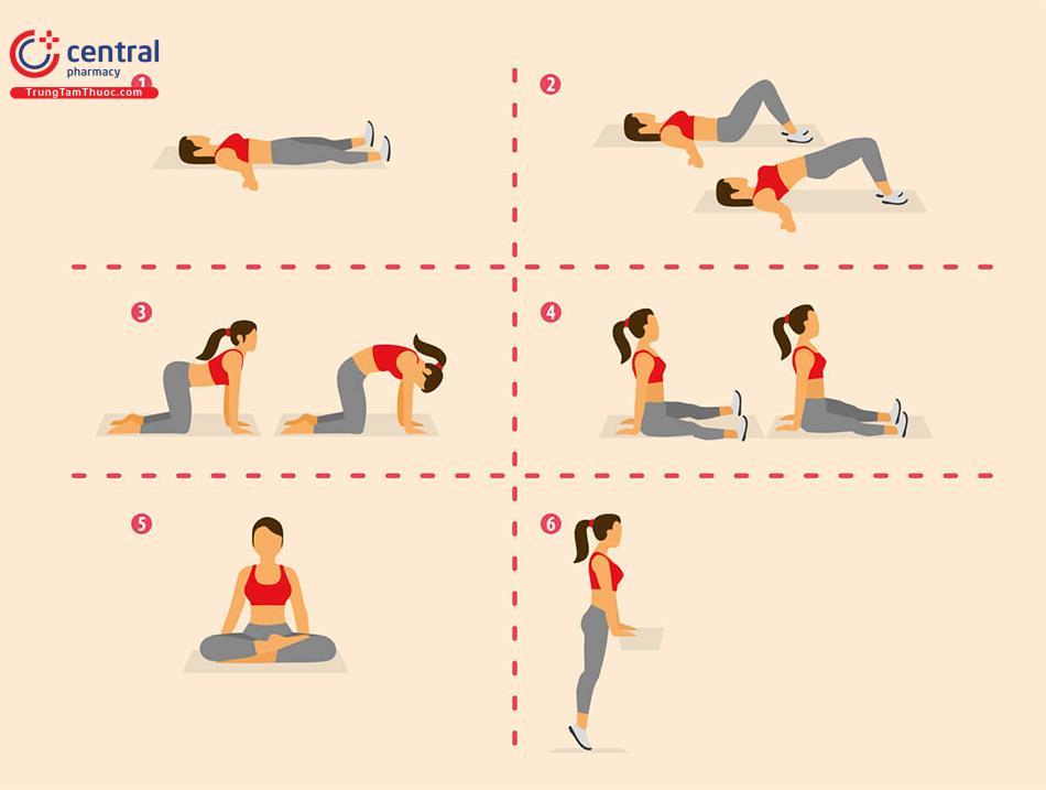 Giải phẫu cơ sàn chậu nữ và hướng dẫn tập Kegel đúng tư thế