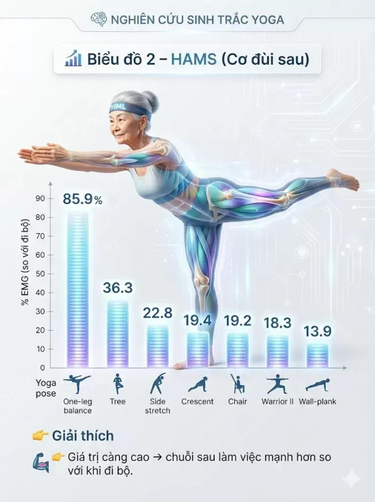 Biểu đồ so sánh lợi ích sức khỏe trước và sau khi tập sàn chậu cho nữ giới