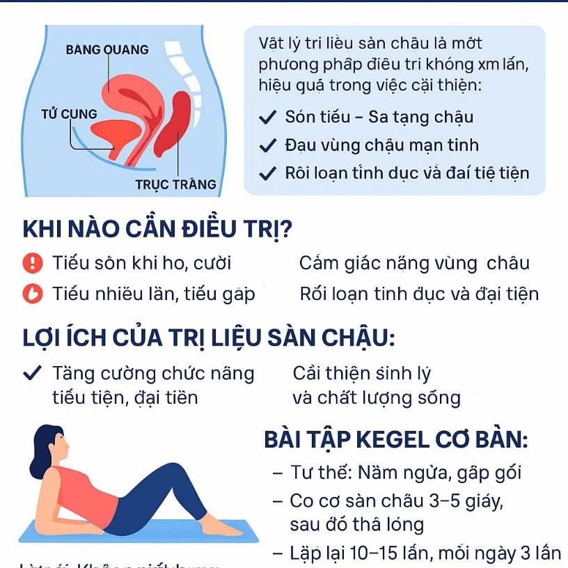 Minh họa cơ chế són tiểu khi ho và vị trí cơ sàn chậu cần tập luyện