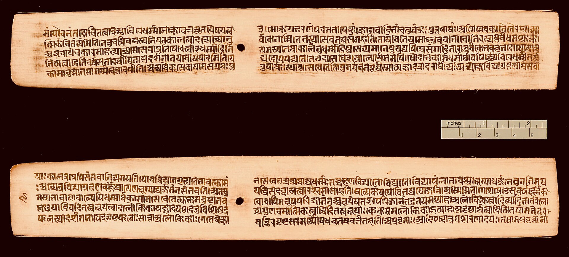 Kama Sutra: Cấu trúc, Lịch sử và Những Hiểu lầm Phổ biến